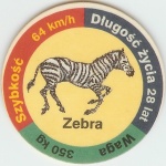 Zebra (Zebra)

(Front Image)