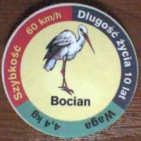 Bocian (Stork)

(Front Image)