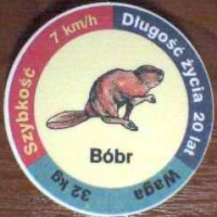 BÃ³br (Beaver)

(Front Image)