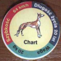 Chart (Greyhound)

(Front Image)