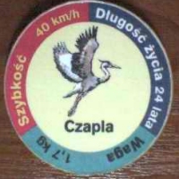 Czapla (Heron)

(Front Image)