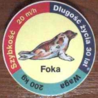 Foka (Seal)

(Front Image)