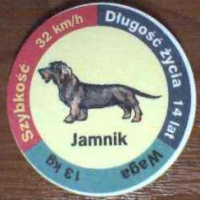 Jamnik (Dachshund)

(Front Image)