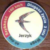 Jerzyk (Swift)

(Front Image)