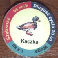 Kaczka (Duck)

(Front Image)