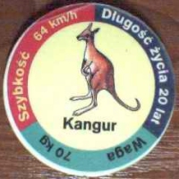 Kangur (Kangaroo)

(Front Image)