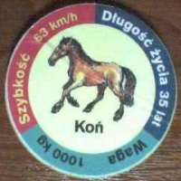 KoÅ„ (Horse)

(Front Image)