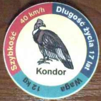 Kondor (Condor)

(Front Image)