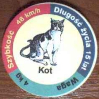 Kot (Cat)

(Front Image)