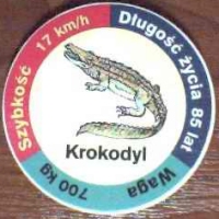 Krokodyl (Crocodile)

(Front Image)