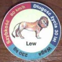 Lew (Lion)

(Front Image)
