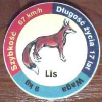 Lis (Fox)

(Front Image)
