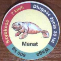 Manat (Manatee)

(Front Image)