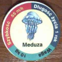 Meduza (Jellyfish)

(Front Image)