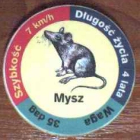 Mysz (Mouse)

(Front Image)