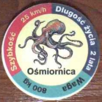 OÅ›miornica (Octopus)

(Front Image)