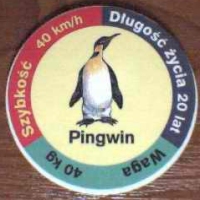 Pingwin (Penguin)

(Front Image)