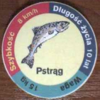 PstrÄ…g (Trout)

(Front Image)