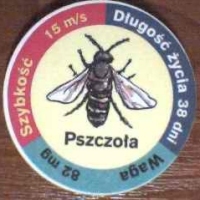 PszczoÅ‚a (Bee)

(Front Image)