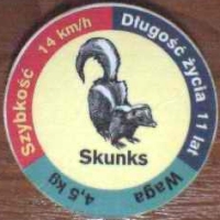 Skunks (Skunk)

(Front Image)