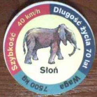SÅ‚oÅ„ (Elephant)

(Front Image)