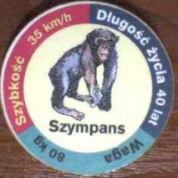 Szympans (Chimpanzee)

(Front Image)