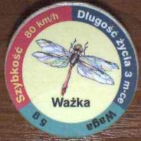WaÅ¼ka (Dragonfly)

(Front Image)