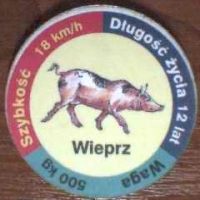 Wieprz (Hog)

(Front Image)