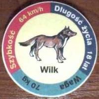Wilk (Wolf)

(Front Image)