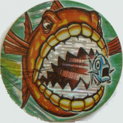 #1
Piranha

(Front Image)
