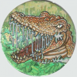 #8
Alligator

(Front Image)