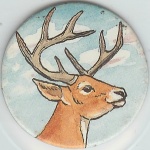 Elk
(1 Point)

(Front Image)