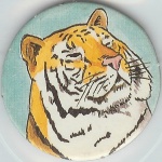 Tiger
(3 Points)

(Front Image)