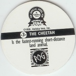 #3
The Cheetah

(Back Image)