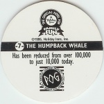 #7
The Humpback Whale

(Back Image)