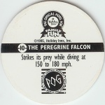 #10
The Peregrine Falcon

(Back Image)