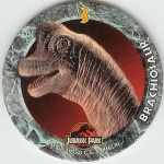 #3
Brachiosaurus

(Front Image)